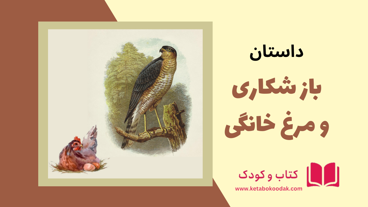 داستان باز شکارچی و مرغ خانگی